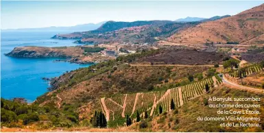  ?? ?? À Banyuls, succombez au charme des cuvées de la Cave L’Étoile, du domaine Vial-Magnères et de La Rectorie.