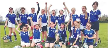  ?? ?? The U11 Kildorrery camogie players that played St Fanahans and Kilworth in a blitz in Ballygibli­n.