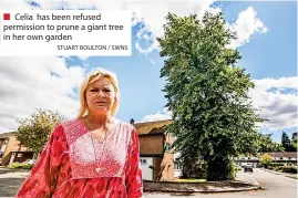  ?? STUART BOULTON / SWNS ?? ■ Celia has been refused permission to prune a giant tree in her own garden