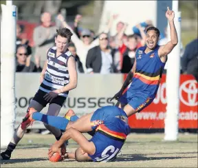  ??  ?? Big moment: Brad Dick celebrates as Damian Cupido takes a crucial mark in the last quarter of the 2014 grand final.