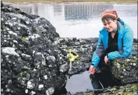  ??  ?? Dr Hannah Grist, CoCoast project officer for Scotland, surveys the shoreline at SAMS, near Oban.