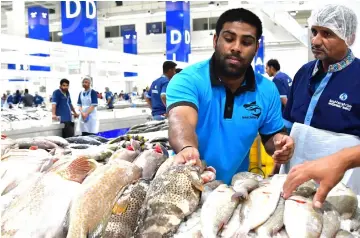  ??  ?? (Left) Getting to grips with a wrestling match in the scorching sands of Dubai. • (Right) Pakistani kushti wrestler Mohammed Arsalan (left), also known as Kala Pehlwan, working at the fish market in Dubai. Each Friday, he leaves behind his slippery stocks for a slippery wrestling match.