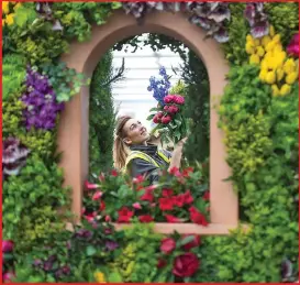  ??  ?? Becky Frost adds the finishing touches to a garden display at Chelsea