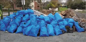  ??  ?? Rubbish and waste collected by Pure Mile volunteers in Dunlavin earlier this year.