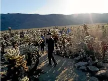  ??  ?? Large groups continued to pour into Joshua Tree National Park in California despite the federal government’s partial shutdown. Park officials kept the gates to the park open, allowing visitors to enter without paying US$30 per-vehicle entrance fee.