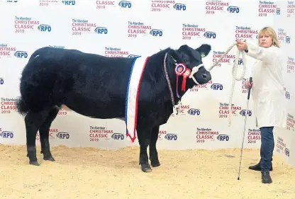  ??  ?? Kim Stretch holds the butchers’ cattle champion, from Crieff breeder Wilson Peters, which sold for £3,100 at the Aberdeen Christmas Classic yesterday.