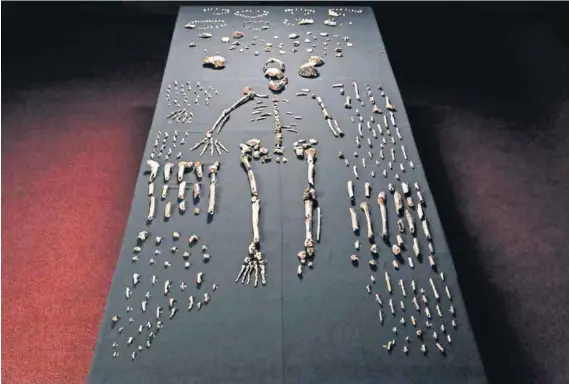  ??  ?? Blast from the past: The Homo naledi find has sparked debate about humankind’s origins.