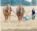  ??  ?? Two heavy horses pull a plough on a farm in Norfolk