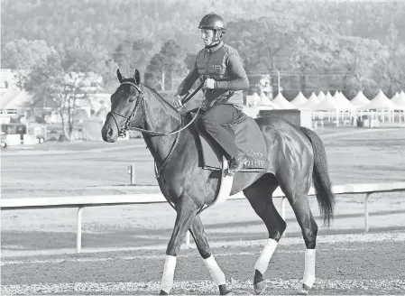  ?? COADY PHOTOGRAPH­Y ?? Quip, shown preparing for last month’s Arkansas Derby, is 12-1 on the morning line for the Preakness.