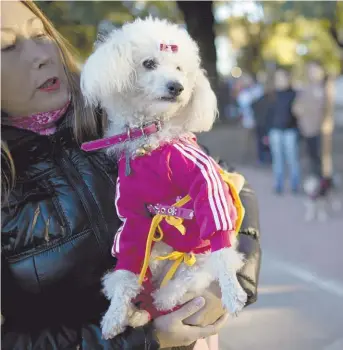  ?? AP ?? Mascotas. Es un apelativo que los defensores de los derechos animales consideran peyorativo.