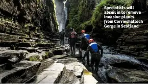  ??  ?? Specialist­s will abseil in to remove invasive plants from Corrieshal­loch Gorge in Scotland