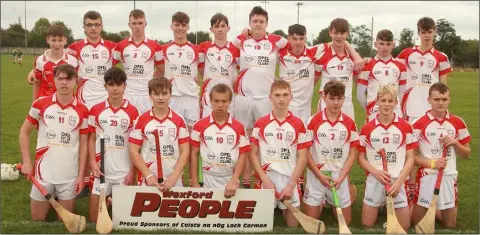  ??  ?? The Ferns St. Aidan’s squad prior to the final.