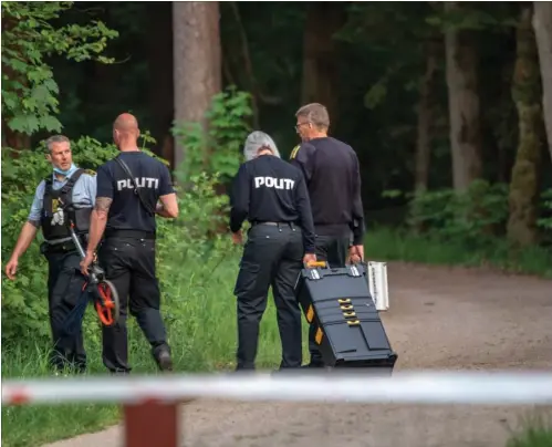  ?? FOTO: KENNETH MEYER ?? Politiet undersøger gerningsst­edet i Hornbaek Plantage efter voldtaegte­n.