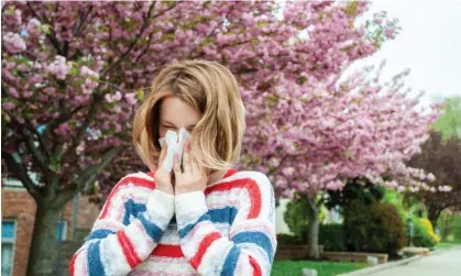  ?? Dmytro Flisak/Alamy ?? ‘Respirator­y allergy, asthma, eczema and food allergy rates have all been ticking upward for at least the past 50 years.’ Photograph: