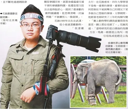  ??  ?? 花蝕最喜歡逛動物園。（取材北京青年報）
金邊他茅山動物園的跛­象，左前肢是一個昂貴的義­肢。（取材北京青年報）