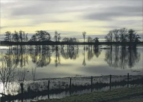  ?? Picture: : Chris Wood ?? Flood plain in Hothfield