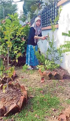  ??  ?? ROSMAWATI membuang ulat dan siput yang terdapat
pada tanaman.