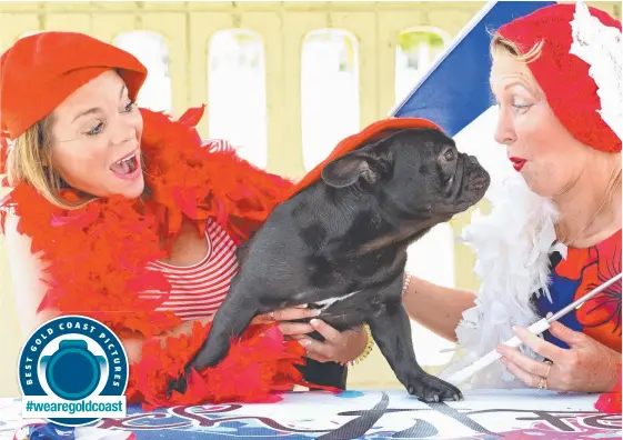  ?? Picture: JOHN GASS ?? Audrey Mates-Bills and Madison Hebbard with Ragnar, an 11-month-old French Bulldog, ahead of this weekend’s Bonjour French Festival.