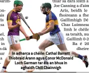  ??  ?? In adharca a chéile: Cathal Barrett Thiobraid Árann agus Conor McDonald Loch Garman tar éis an bhua in aghaidh Chill Chainnigh