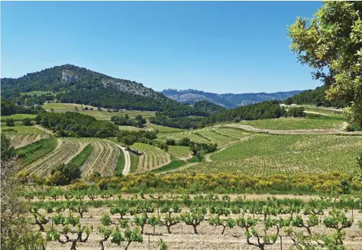  ??  ?? ABOVE A patchwork of vineyards above La RoqueAlric
FAR LEFT CLOCKWISE Aurel is a pretty little perched village; Mont Ventoux dominates the Provençal landscape; Sault is balanced on the edge of a sylvan plateau