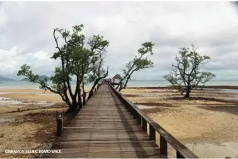  ??  ?? CINNAMON SCENIC BOARD WALK