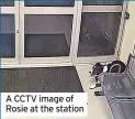  ?? ?? A CCTV image of Rosie at the station