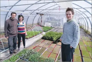  ?? Canadian Press
photo ?? Farm owners Francois Daoust and Melina Plante, left, are shown in their greenhouse with summer employee Florence Lachapelle in Havelock, Que., last week.
