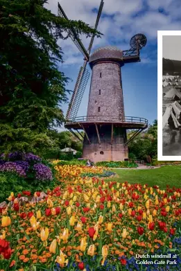  ??  ?? Dutch windmill at Golden Gate Park