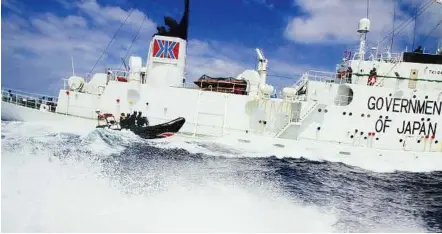  ??  ?? Concern for comrades: Sea Shepherd activists approachin­g the ‘Shonan Maru No.2’ for a closer look after three Aussie activists were detained onboard the vessel yesterday. — AFP