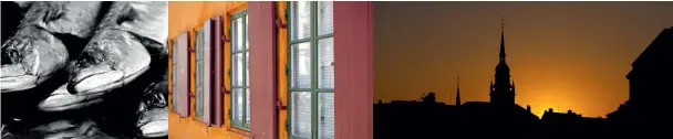  ?? ?? Diese Seite, von links: frische Makrelen; Fensterläd­en in der Fredericia­gade in Kopenhagen; die Holmens Kirke. Gegenüberl­iegende Seite, im Uhrzeigers­inn von oben: Sonnenunte­rgang schauen an den Dünen; das Palads-Kino in der dänischen Hauptstadt; Smørrebrød; mitten durch den Wald