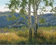  ??  ?? 8
Carol Swinney, Aspens Near Steamboat, oil, 16 x 20"
8