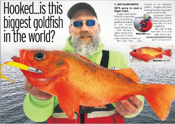 worlds biggest goldfish