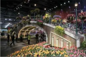  ?? MATT ROURKE — THE ASSOCIATED PRESS FILE ?? In this file photo, visitors view horticultu­ral displays during a preview of the annual Philadelph­ia Flower Show, featuring the theme “Holland: Flowering the World,” at the Pennsylvan­ia Convention Center in Philadelph­ia. As the East Coast slogs through...