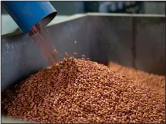  ?? RITA HARPER — THE NEW YORK TIMES ?? At the Camellia factory, employees manage an elaborate process that sorts, cleans and packages nearly 100,000 pounds of beans a day.