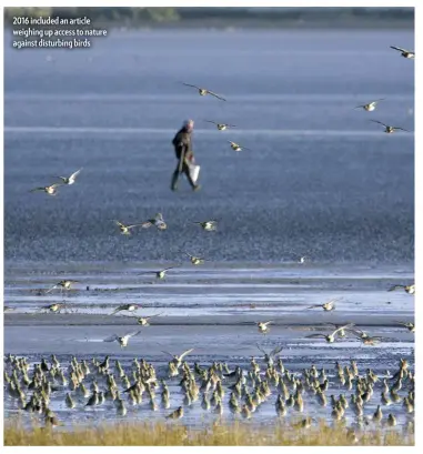  ??  ?? 2016 included an article weighing up access to nature against disturbing birds