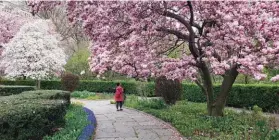  ??  ?? The Lynden Miller-designed Conservato­ry Garden at 105th street and Fifth Avenue.