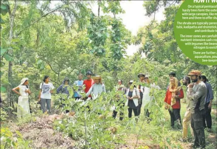  ?? PHOTO: SNEHA KOPPULA ?? (Clockwise from above) N Koppula’s 11.5-acre perma-farm in Telangana. ‘It’s not just a set of farming techniques, but ideally a system that evolves with little human interferen­ce, where flora and fauna co-exist, and even benefit from each other,’ he says.A home is handsculpt­ed by volunteers on the Geeli Mitti farm in Nainital. As you minimise your impact on the earth, permacultu­re invariably leads to changes in lifestyle.Harvests tend to be small. This bunch of radish was the first on Laura Khanna’s 1-acre farm in Panchgani.One of the 12 principles of permacultu­re involves spreading the word and working with traditiona­l farmers in the area.