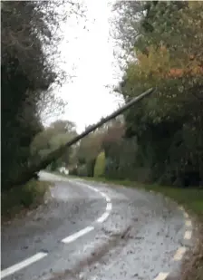  ??  ?? A fallen pole on the Old Bundoran road. Pic: Sligo County Council