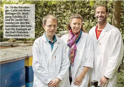  ??  ?? Dr. Ulrike Riessberze­r- GAllé mit ihren Kollezen Dr. WolfzAnz Schühly ( li.) und Dr. JAvier HernAndez vor den Bienenvölk­ern des Instituts für Zoolozie An der KArl- FrAnzensUn­iversitOt in GrAz.