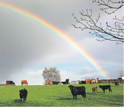  ?? Picture: Getty. ?? One of the lovely words for a rainbow is a water-gaw.