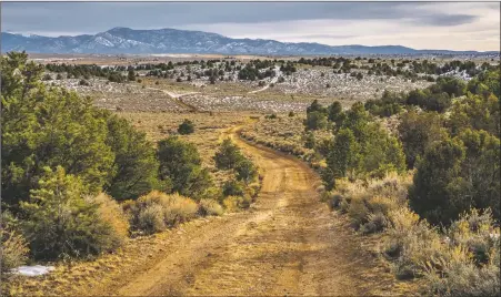  ?? NATHAN BURTON ?? ‘It’s about access; about recreation access; biking and hiking access; and the balance of having access and nature,’ commented the BLM in regards to the trail developmen­t planned for Horsethief Mesa.