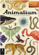  ??  ?? Animalium Autor: Katie Scott/Jenny Broom Editorial: Impediment­a Librería: Andante (8871-8534)