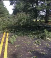  ?? PHOTO COURTESY MONTGOMERY COUNTY ROADS & BRIDGES ?? A downed tree lays across a road in Montgomery County following a storm Wednesday.