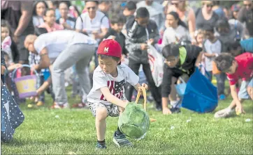  ?? PHOTOS BY LIPO CHING — STAFF PHOTOGRAPH­ER ?? A boy scrambles for eggs at the 38th Annual Campbell Eggstravag­anza Community Egg and Candy Hunt, on Saturday.