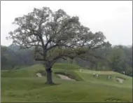  ?? RICK WOOD — MILWAUKEE JOURNAL-SENTINEL VIA AP ?? A lone oak tree stands between the 15th and 16th holes during the U.S. Open golf tournament media day at Erin Hills, Wis., May 17.