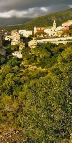  ??  ?? Bâtie en schiste vert, de forme carrée et munie d’échauguett­es, la tour paoline de Nonza, perchée à l’emplacemen­t d’un château pris et détruit par les Génois au xve siècle est accessible par un escalier qui vous hisse à 167 m.