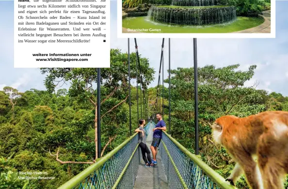  ??  ?? Treetop Walk im Macritchie Reservoir
Botanische­r Garten