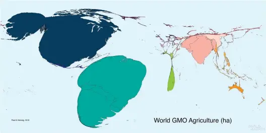  ??  ?? World Map of GMO agricultur­e (hectares). The above map is a density equalising map using a World Mapper algorithm ( worldmappe­r.org). Equal areas on the map represent equal areas of GMO agricultur­e (see Paull & Hennig, 2016, 2018).