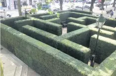  ??  ?? The maze will be in operation at Town Hall Gardens