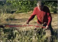  ?? CALEB BURDEAU VIA AP ?? The writer Cain Burdeau’s father, Bob Burdeau, cutting grass on his property near Martina Franca in Puglia, Italy. He has cut the grass on his property for many years with a scythe.